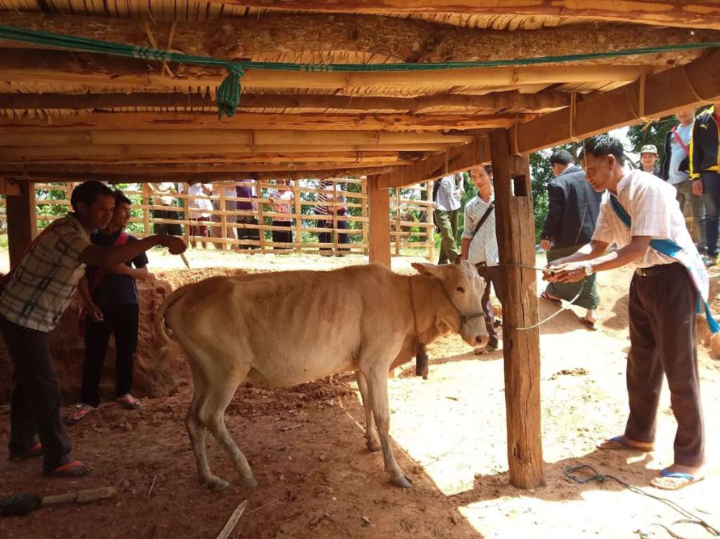 Animal Health Worker